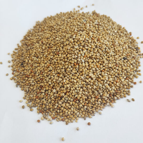 MILLET