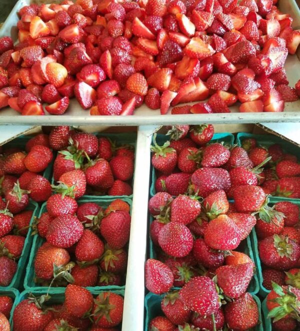 FRESH STRAWBERRY