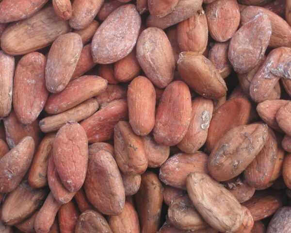 COCOA BEANS