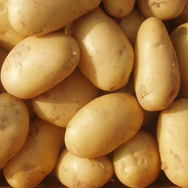 POTATOES