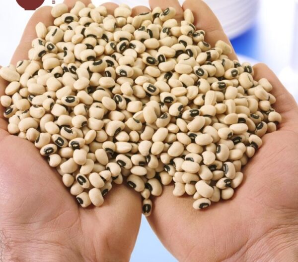 WHITE BLACK EYED COWPEA