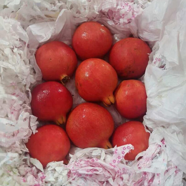FRESH POMEGRANATE