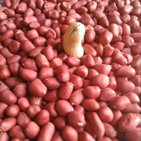 PEANUTS